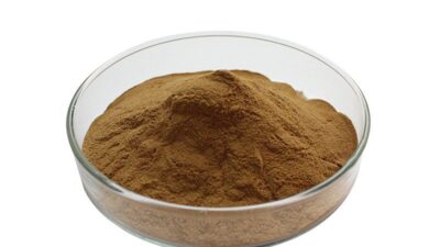 Bio Maitake Pilzextrakt Pulver