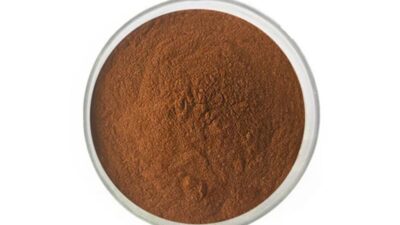 Bio-Schwarztee-Extraktpulver