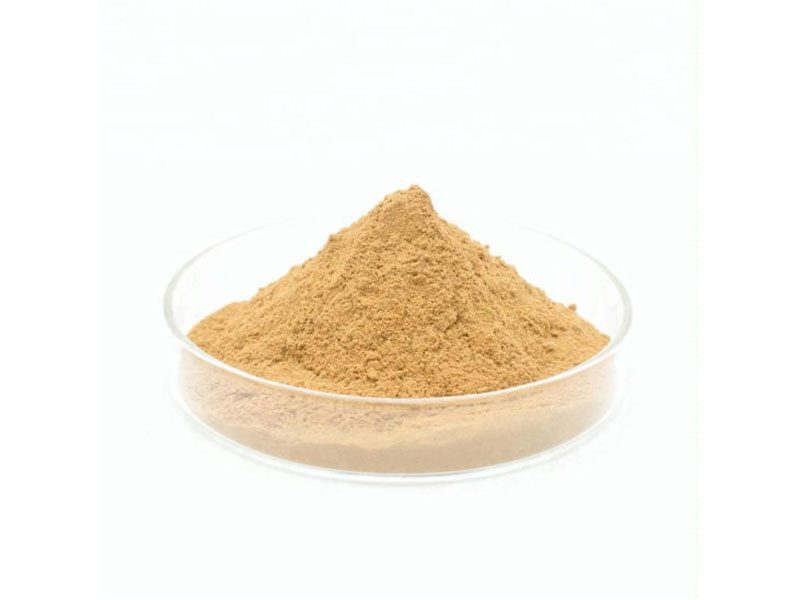 Bio-Ginkgo-Biloba-Extrakt-Pulver Bio-Ginkgo-Biloba-Extraktpulver