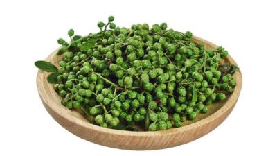 Organische grüne Stachelasche