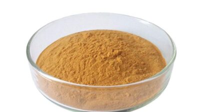 Bio Oolong Tee Extrakt Pulver