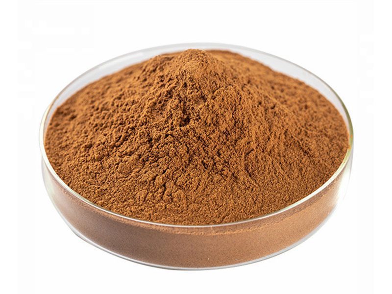 Bio-Sanddorn-Fruchtextrakt Bio Sanddorn Fruchtextrakt