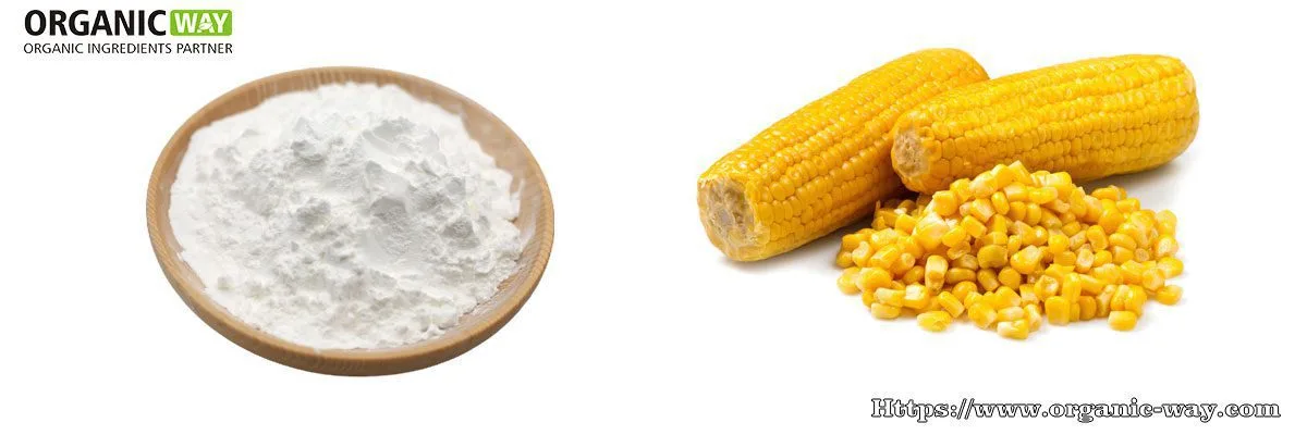 Bio-Maisstärke-Pulver Organic-Cornstarch