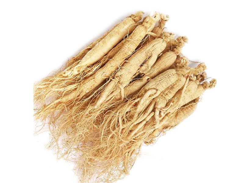Bio-Ginseng-Wurzel Bio-Ginsengwurzel
