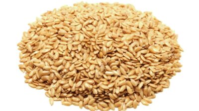 Bio Goldener Leinsamen