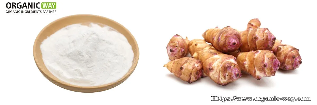 Organisches Inulin-Pulver Organic-Inulin