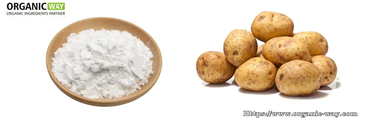 Bio-Kartoffelstärkepulver Bio-Kartoffelstärke