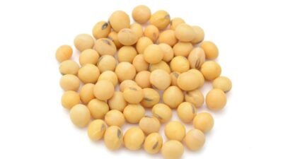 Bio-Sojabohne