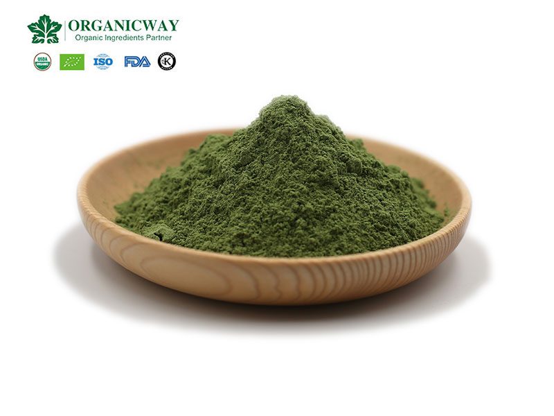 Was bewirkt die Einnahme von Gerstengraspulver? barley grass powder