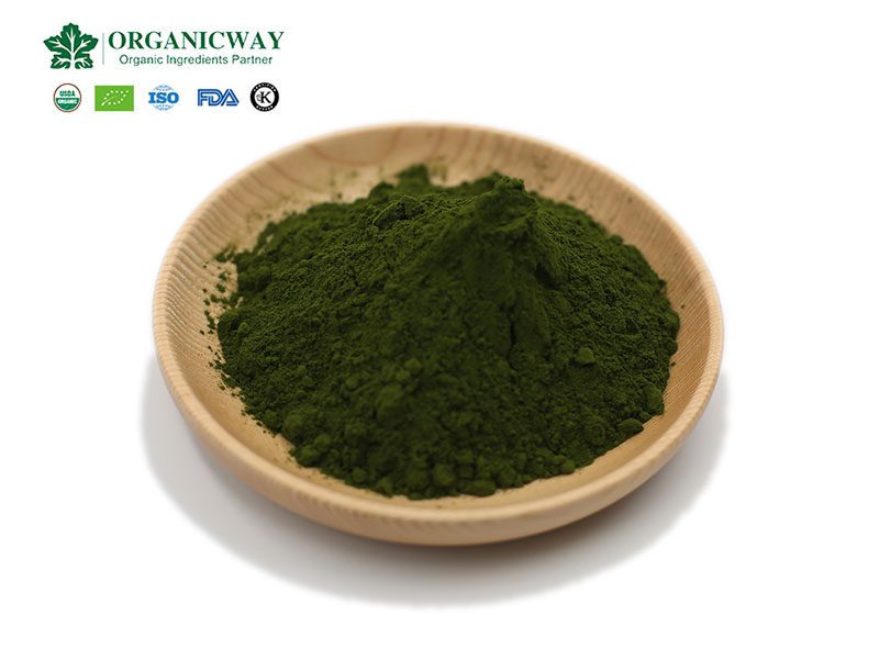 11 unbekannte Geheimnisse von Chlorella - die Wirksamkeit und Funktion von Chlorella-Tabletten chlorella powder