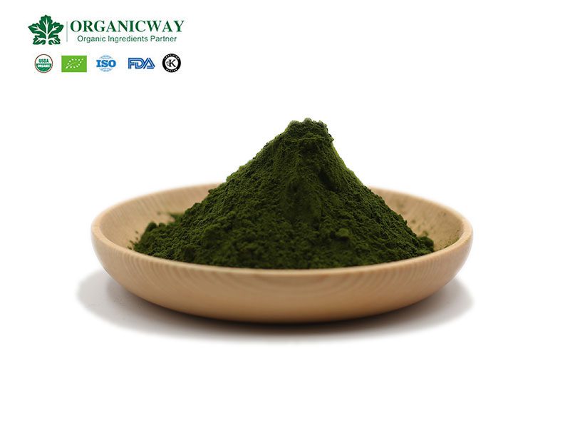 Chlorella, ein von der Natur begabter essbarer Smaragd chlorella powder
