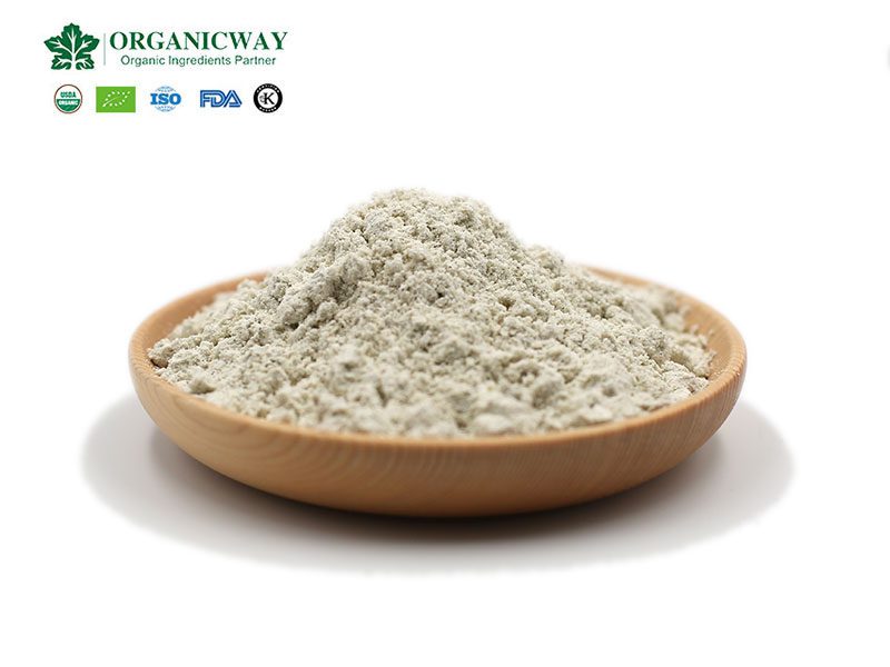 Hanfsamen-Protein-Rezept hemp protein