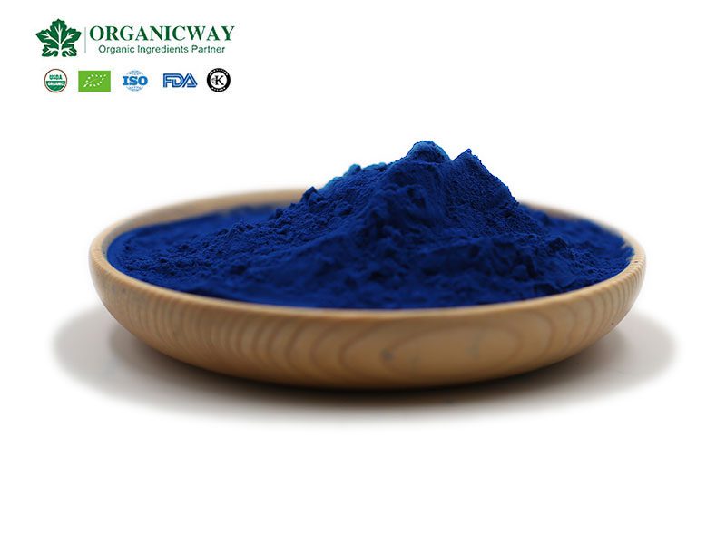 Blaues Gold in der Natur - Phycocyanin phycocyanin powder