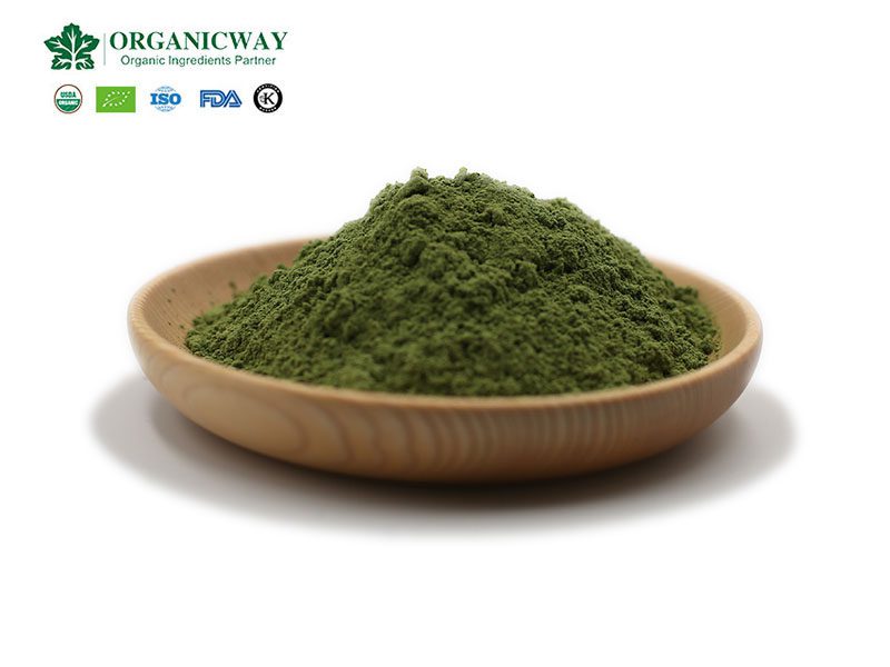 Was sind die gesundheitlichen Vorteile von Weizengraspulver? wheatgrass powder