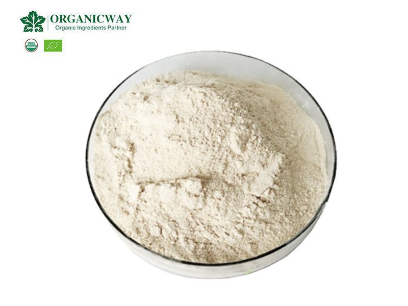 Die Nährwertangaben von Bio-Sojaproteinpulver organic soy protein nutrition facts