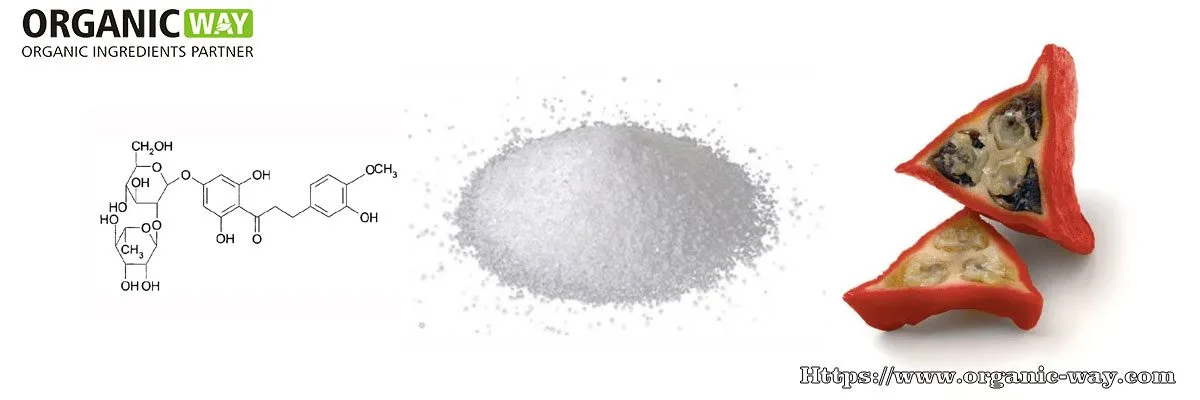 Thaumatin-Pulver Organic Thaumatin Powder