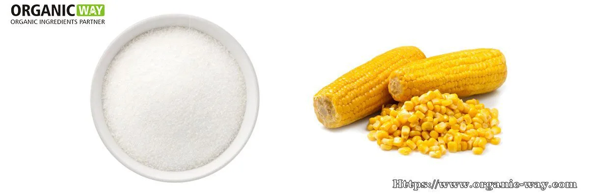 Bio-Resistente Dextrin Bio Resistente Dextrine