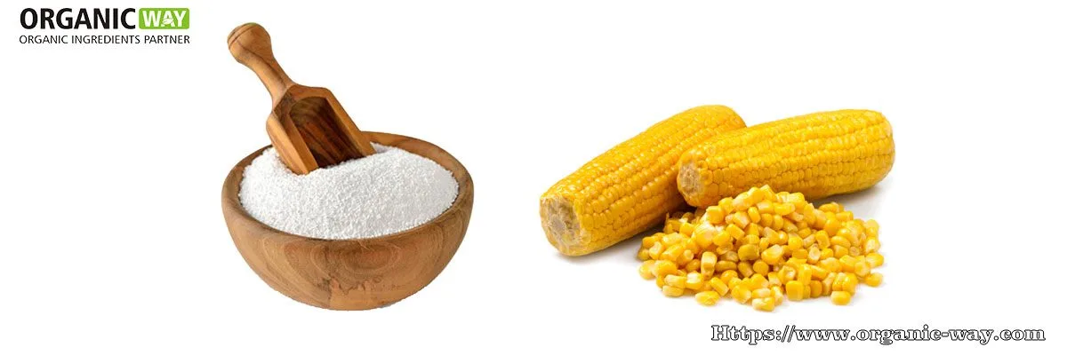 Allulose-Süßungsmittel Organic Allulose Powder