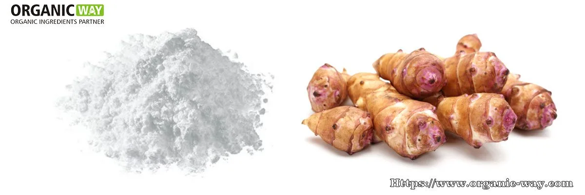 Fructooligosaccharide (Fos) Organic-Fructooligosaccharide-Powder