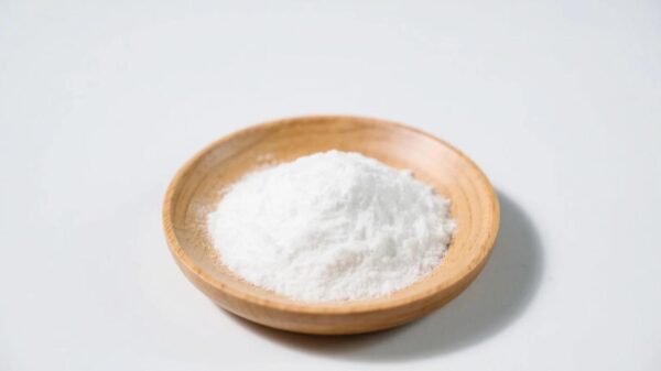 Organic Stachyose Powder