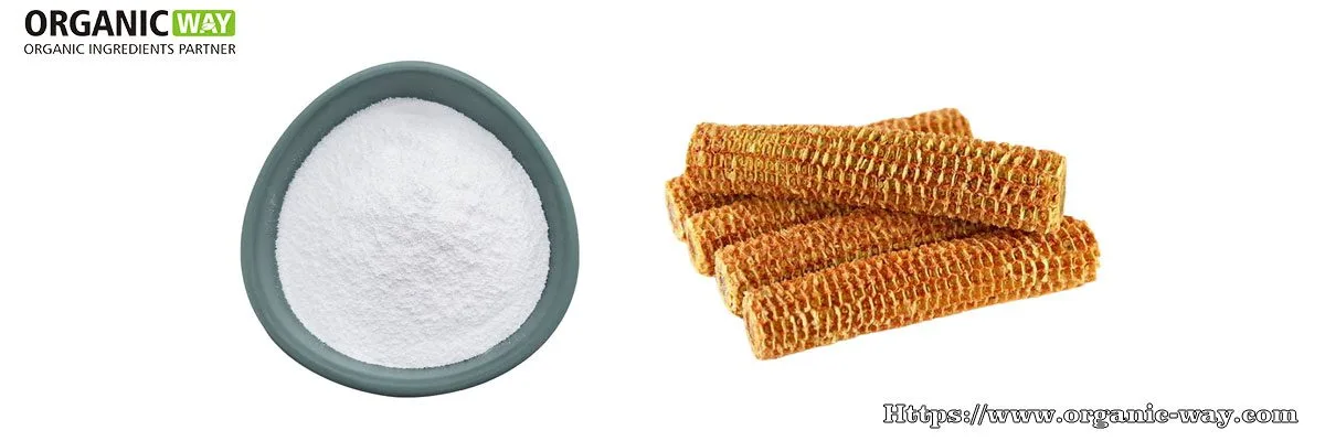 Xylooligosaccharide Organic Xylooligosaccharides Powder