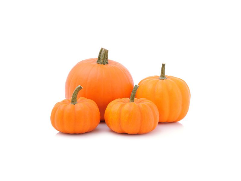Erklären Sie die Wirksamkeit und Funktion von Bio-Kürbiskernprotein im Detail pumpkin