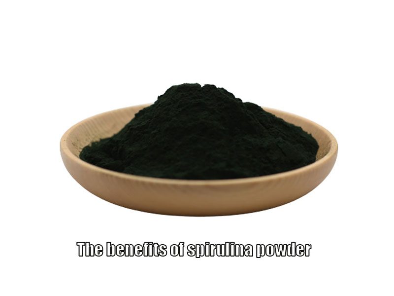 Wie viel wissen Sie über die gesundheitlichen Vorteile von Algen, Superfoods Spirulina und Chlorella? the benefits of spirulina powder
