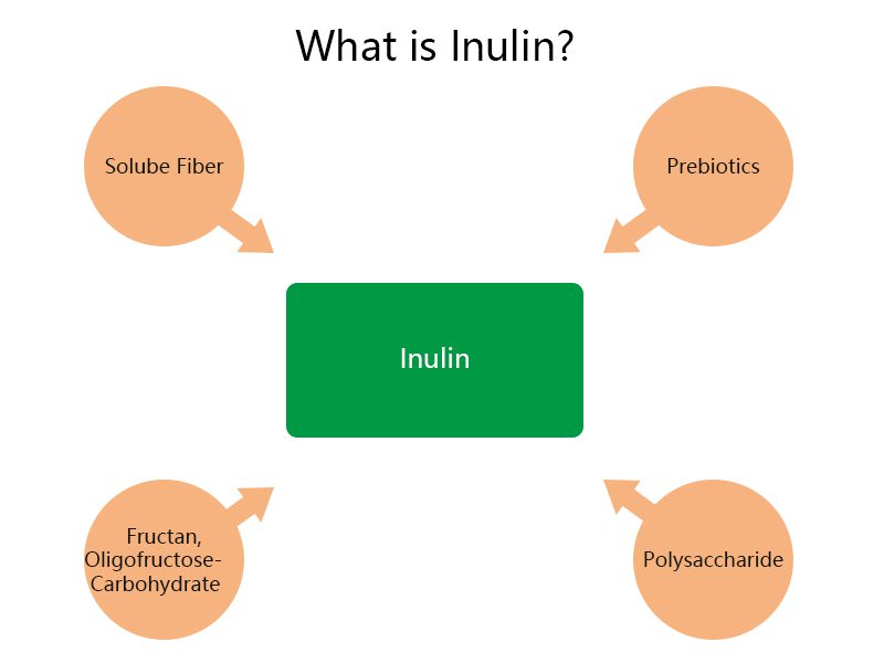 Was ist Inulin und was bewirkt es? What is inulin