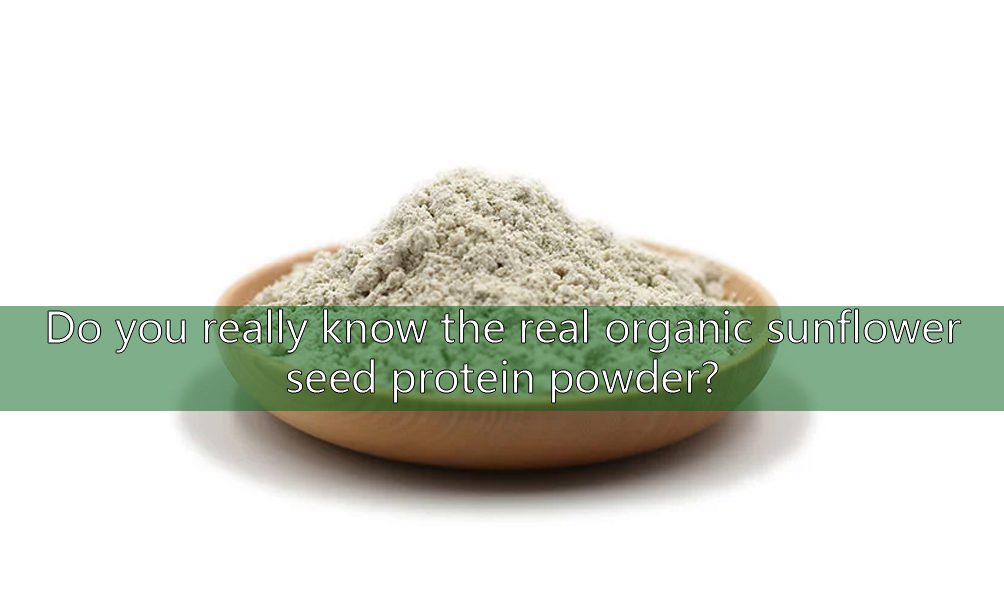Kennen Sie wirklich das echte Bio-Sonnenblumenkern-Proteinpulver? organic sunflower seed protein powder