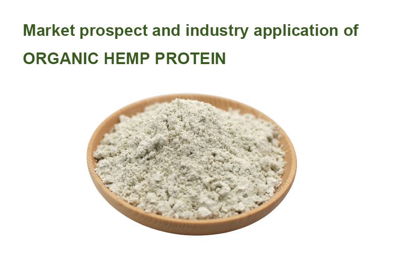Warum Bio-Hanfprotein zu einer beliebten Wahl für pflanzliche Ernährungs- und Gesundheitsprodukte wird Organic hemp protein is a type of protein powder that is derived from organic hemp seeds. Hemp protein is a complete protein, meaning it contains all of the essential amino acids that the body cannot produce on its own. It is also rich in fiber, healthy fats, and minerals.