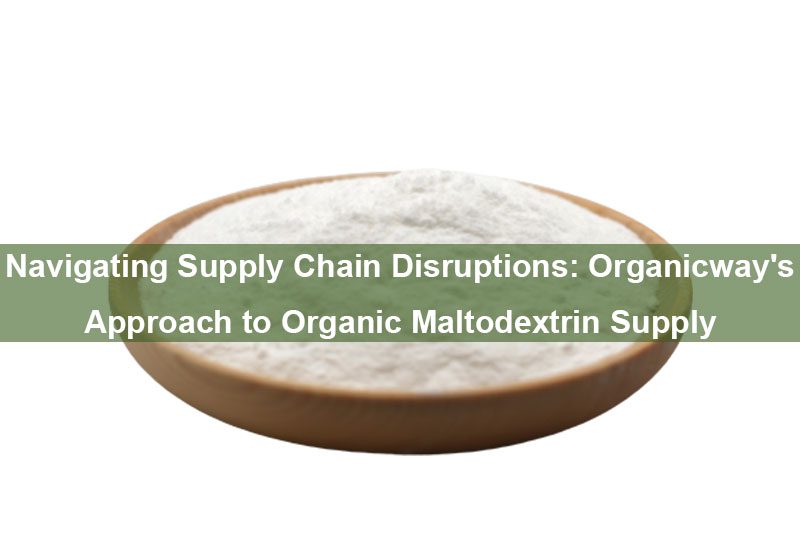 Störungen in der Lieferkette meistern: Der Ansatz von Organicway für die Versorgung mit Bio-Maltodextrin Navigating Supply Chain Disruptions: Organicway's Approach to Organic Maltodextrin Supply
