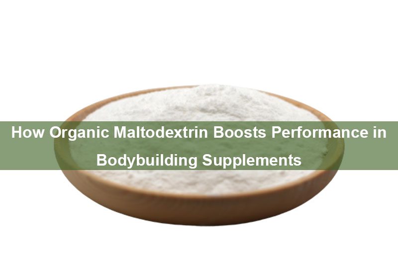 Wie organisches Maltodextrin die Leistung von Bodybuilding-Ergänzungen steigert