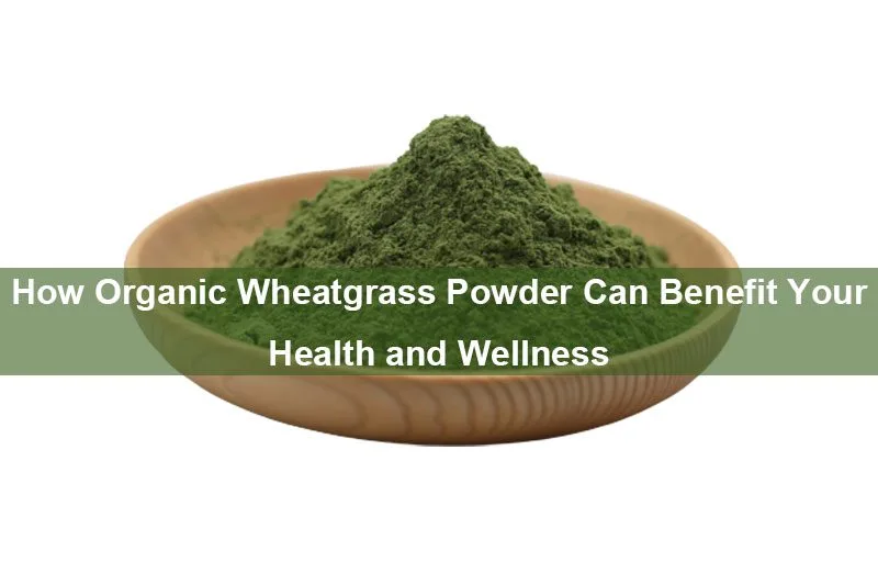 Wie Bio-Weizengraspulver Ihrer Gesundheit Und Ihrem Wohlbefinden Zugutekommen Kann How Organic Wheatgrass Powder Can Benefit Your Health And Wellness