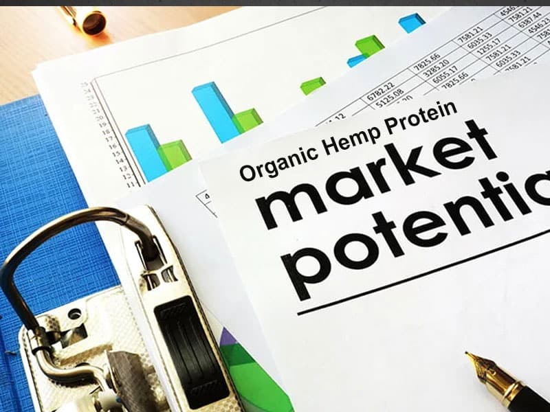 Proteine di canapa organiche: un superfood a base vegetale con un enorme potenziale di mercato