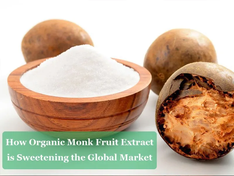 Wie Bio-Mönchsfrucht-Extrakt Den Weltmarkt Versüßt How Organic Monk Fruit Extract Is Sweetening The Global Market