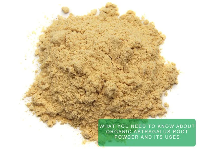 Was Sie Über Bio-Astragaluswurzelpulver Und Seine Anwendungen Wissen Sollten What You Need To Know About Organic Astragalus Root Powder And Its Uses