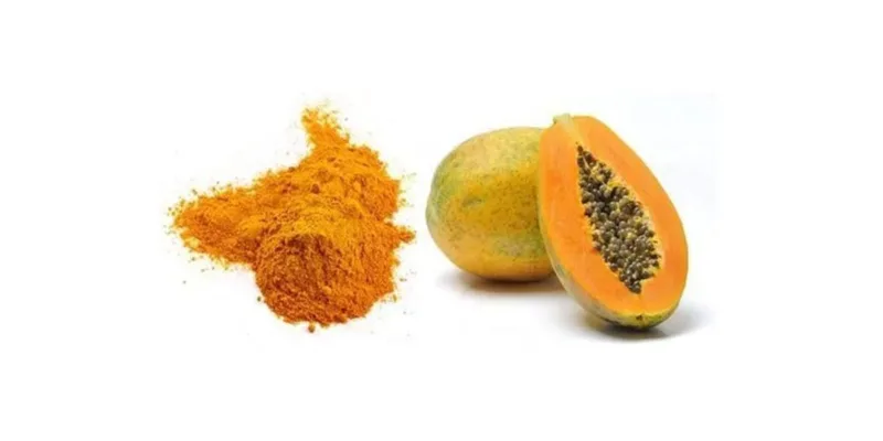 Vielseitigkeit Und Gesundheitliche Vorteile Von Bio-Papayapulver In Der Küche Entdecken Organic Papaya Powder