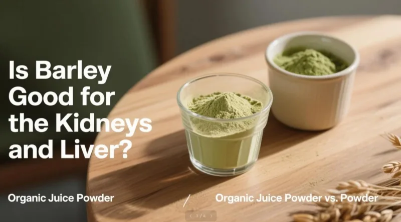 Ist Gerste Gut Für Nieren Und Leber? Bio-Saftpulver Vs. Pulver Is Barley Good For The Kidneys And Liver? Organic Juice Powder Vs. Powder