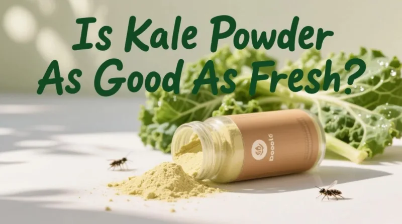 Ist Grünkohlpulver Genauso Gut Wie Frisch? Der Bio-Showdown Is Kale Powder As Good As Fresh? Organic Showdown
