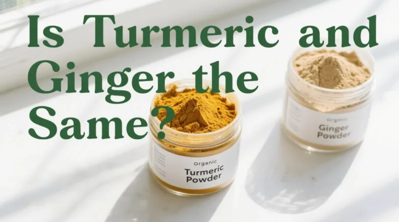 Sind Kurkuma Und Ingwer Dasselbe? Bio-Kurkumapulver Vs. Ingwerpulver Entschlüsselt Is Turmeric And Ginger The Same