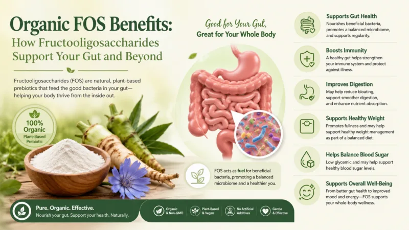 Bio-Fos-Vorteile: Wie Fructooligosaccharide Ihren Darm Und Mehr Unterstützen Organic Fos Benefits: How Fructooligosaccharides Support Your Gut And Beyond