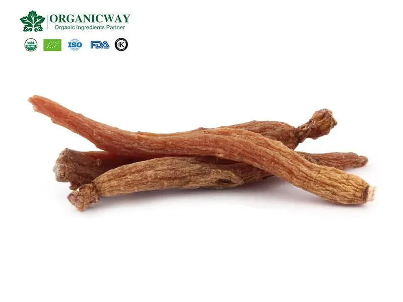 Wirksamkeit Und Funktionen Von Rotem Ginseng Red Ginseng Root