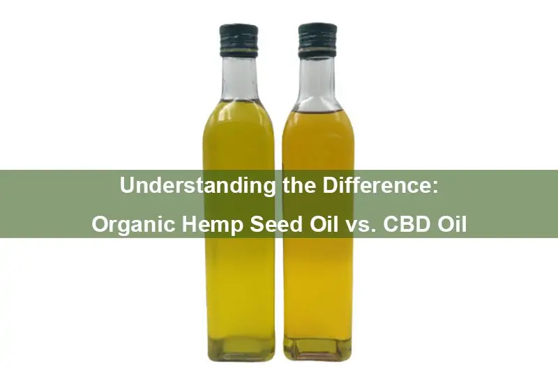 Den Unterschied verstehen: Bio-Hanfsamenöl vs. CBD-Öl